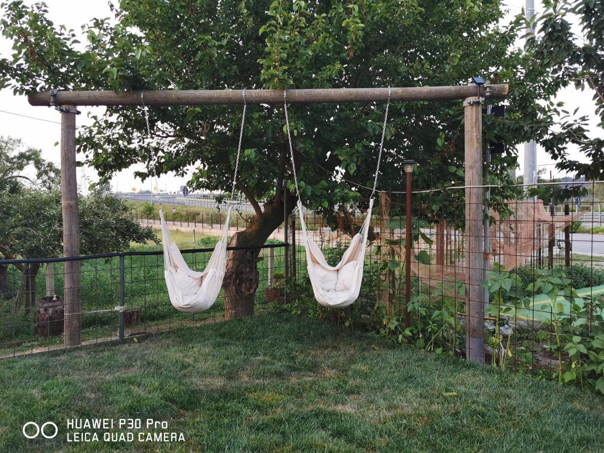 Bed And Breakfast "Anna" Bagnara Calabra Dış mekan fotoğraf