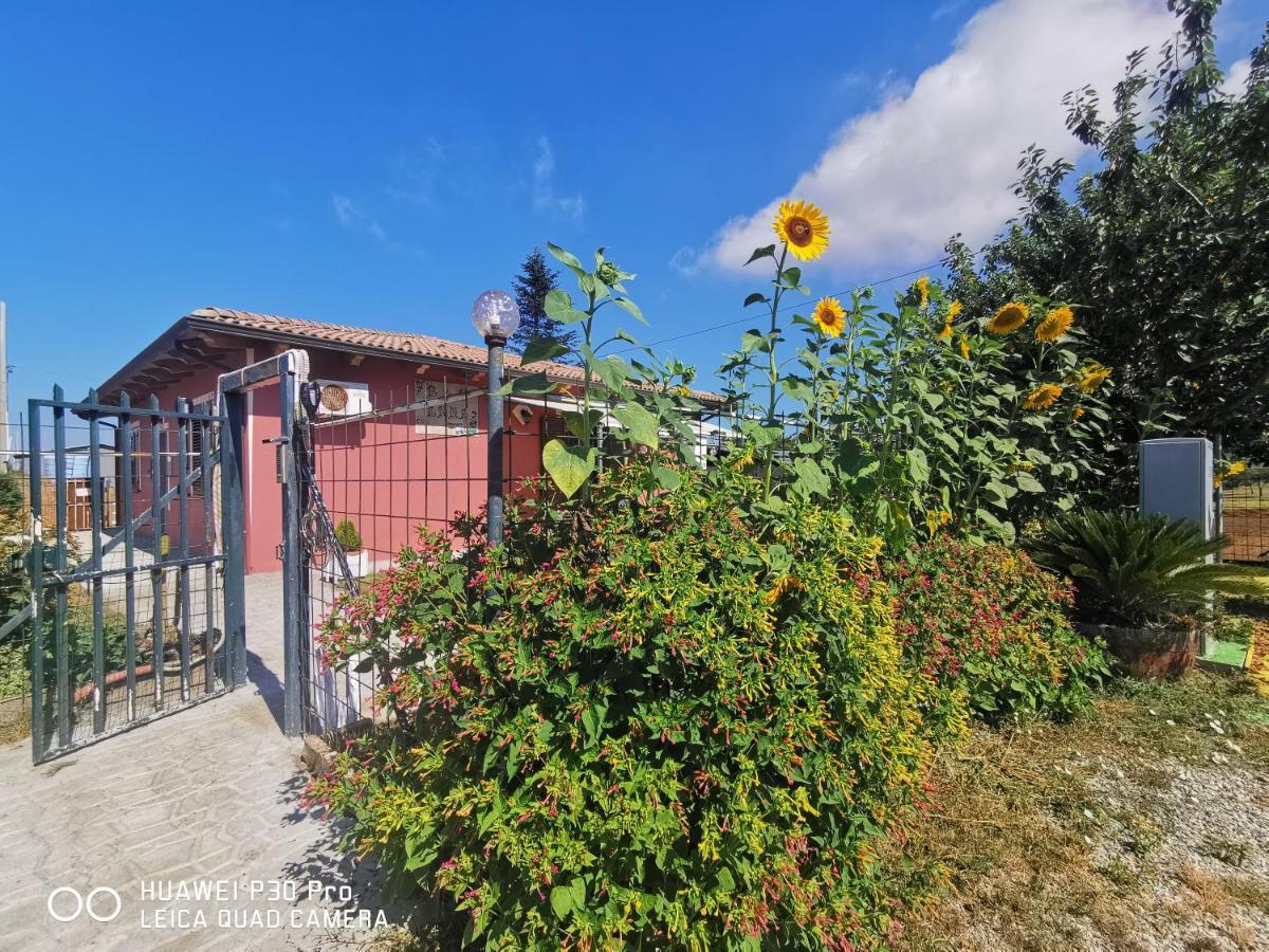 Bed And Breakfast "Anna" Bagnara Calabra Dış mekan fotoğraf